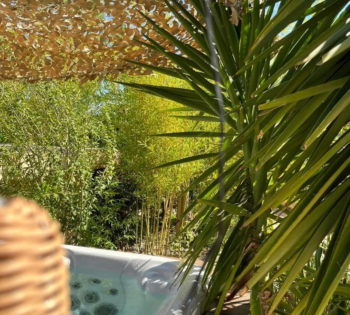 Les Pins De Palama Marseille