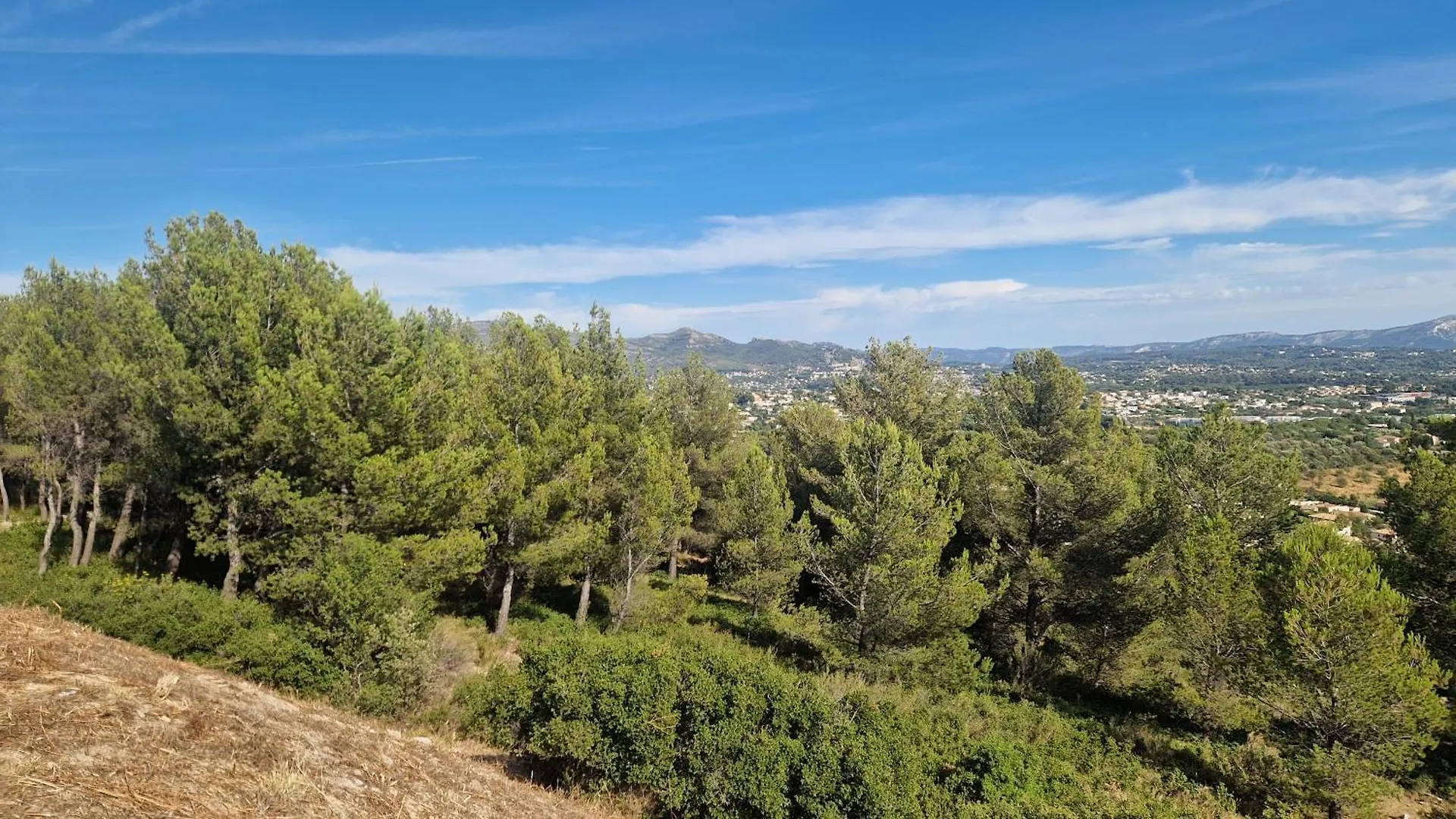Les Pins De Palama Marseille